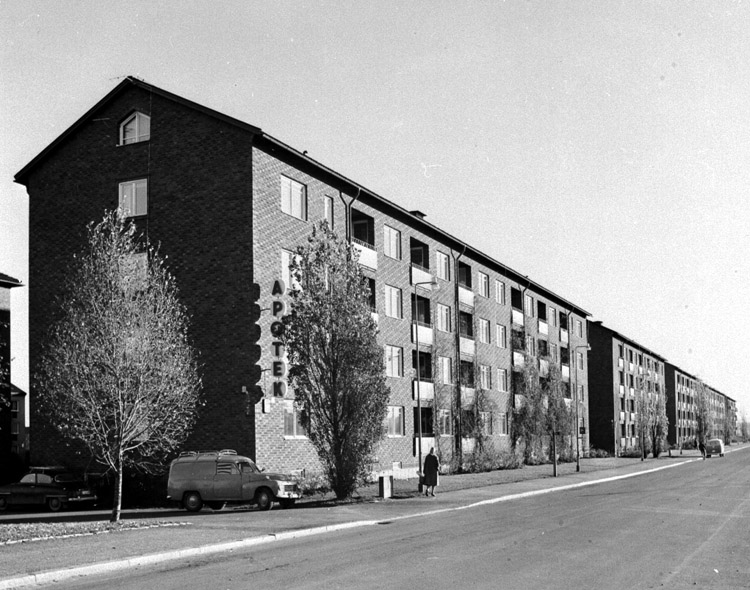 Ljuragatan 1950. Foto: Lennart Olsson. Ur Norrköpings stadsmuseums samlingar