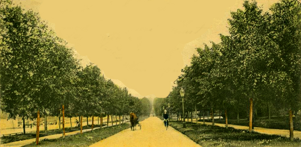 Vykort Norra Promenaden 1904.