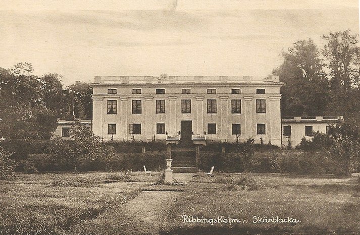 Ribbingsholms herrgård