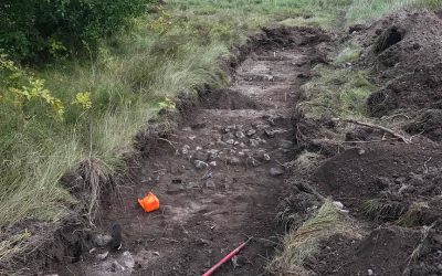 Arkeologer vill göra fullskalig utgrävning i Brånnestad