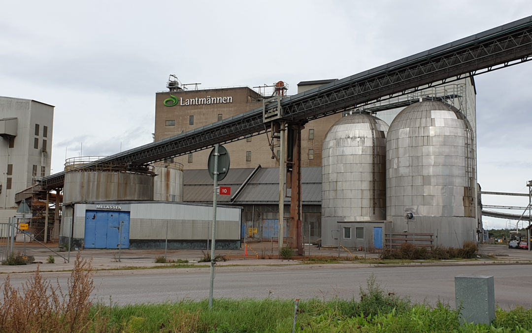 Kvarteret Hamburg vid Sjötullsgatan. Foto: Peter Kristensson/Klingsbergs Förlag