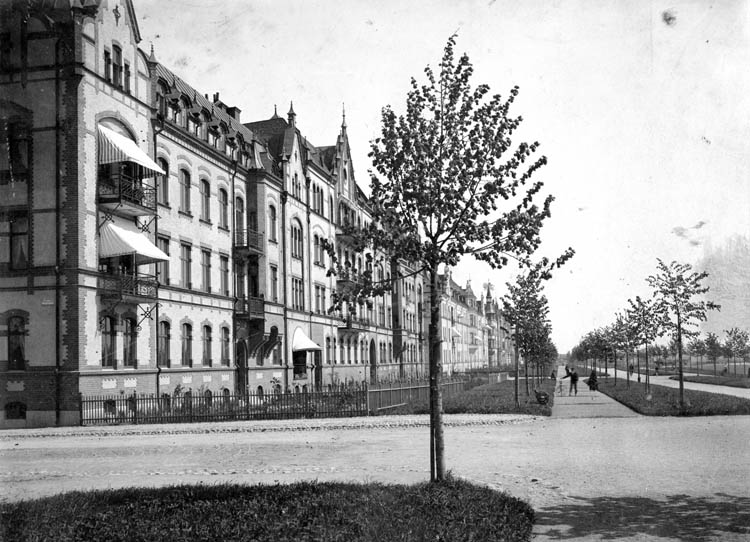Den nyplanterade Södra Promenaden vid kvarteret Sippan cirka 1900. Foto ur Norrköpings stadsarkivs samlingar