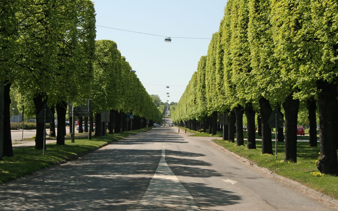 Norra Promenaden. Foto: Sakletare (Wikimedia Commons Public domain)